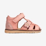 Wheat Footwear Sky Sandale Flower | Baby Prewalker Sandals 2026 rose