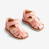 Wheat Footwear Sky Sandale Flower | Baby Prewalker Sandals 2026 rose
