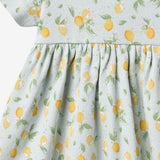 Wheat Main Jersey Dress S/S Nova Dress 9663 summer blue citrus