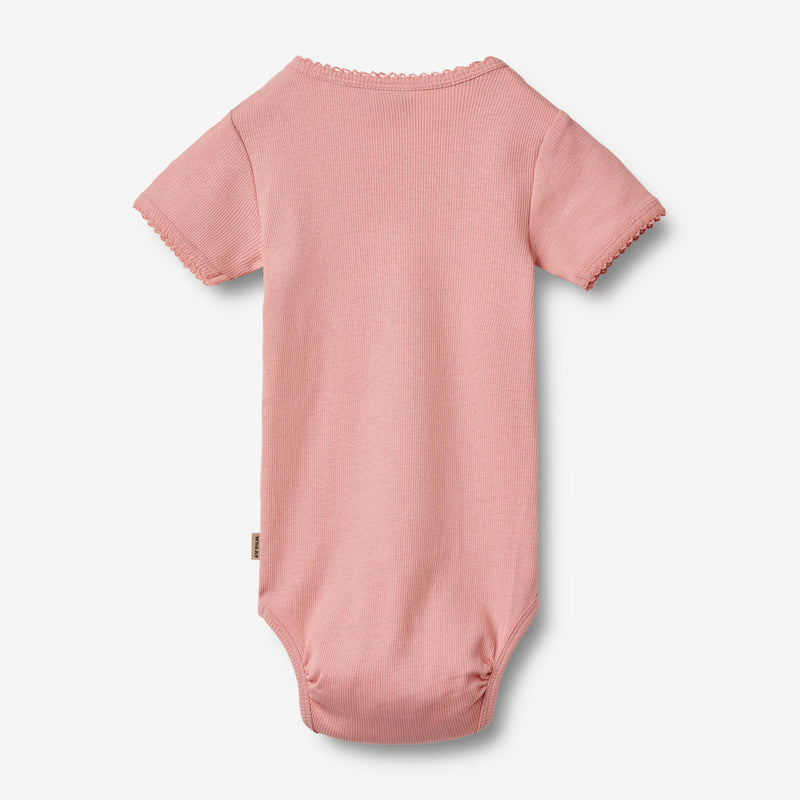 Wheat Main Ripp Body S/S Spitze Elisa Underwear/Bodies 2026 rose