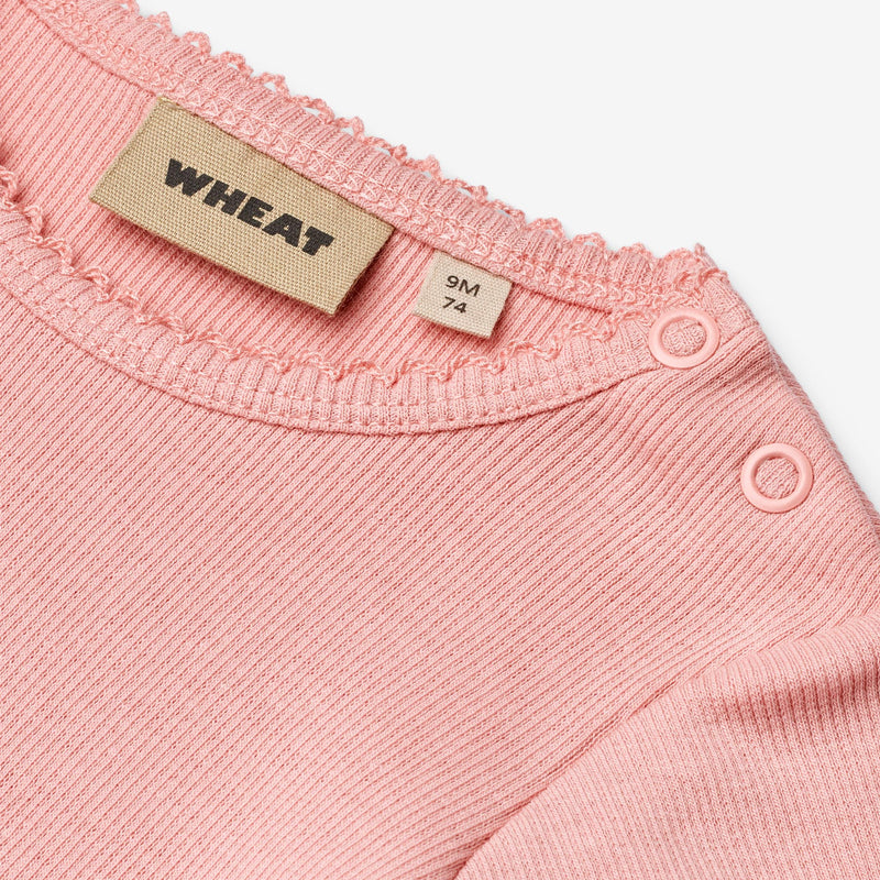 Wheat Main Ripp Body S/S Spitze Elisa Underwear/Bodies 2026 rose