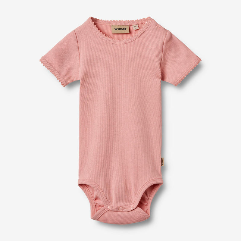 Wheat Main Ripp Body S/S Spitze Elisa Underwear/Bodies 2026 rose