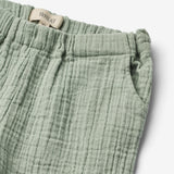 Wheat Main  Short Luca Shorts 4107 aquaverde