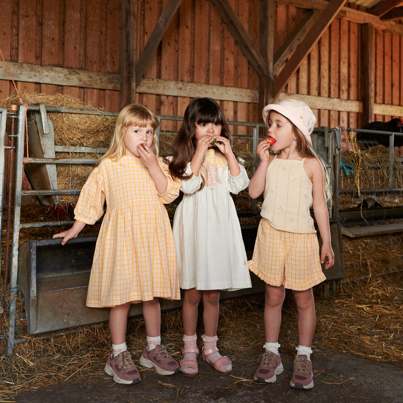 Wheat Main Shorts Camille Shorts 9448 yellow check