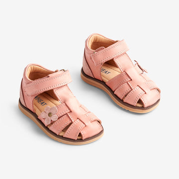 Wheat Footwear Sky Sandale Flower | Baby Prewalker Sandals 2026 rose