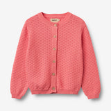 Wheat Main Strick-Cardigan Magnella Cardigan 9454 coral
