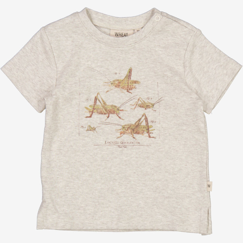 Wheat Main  T-Shirt Grashüpfer | Baby Jersey Tops and T-Shirts 5060 fossil melange