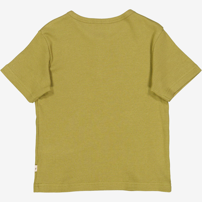 Wheat Main  T-Shirt Lumi Jersey Tops and T-Shirts 5061 frog