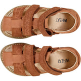 Wheat Footwear Macey Sandale Prewalkers 5304 amber brown